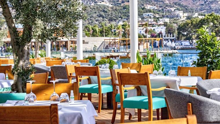 Novikov Grup, Türkiye’de büyümeye devam ediyor