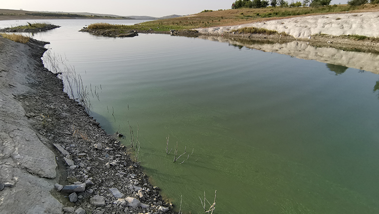 Sazlıdere Barajı'nın yüzeyi yeşile büründü