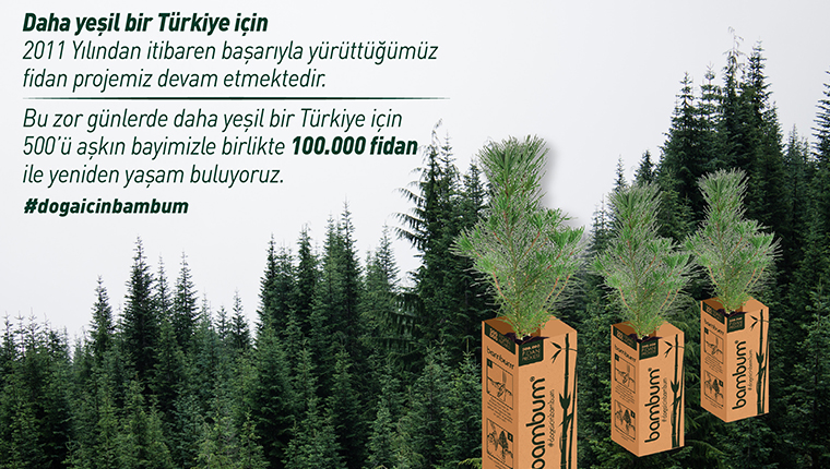 Bambum, 100 bin fidan dağıtıyor