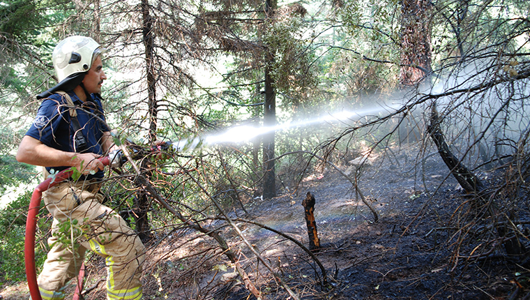 Kartal'da çıkan orman yangını söndürüldü