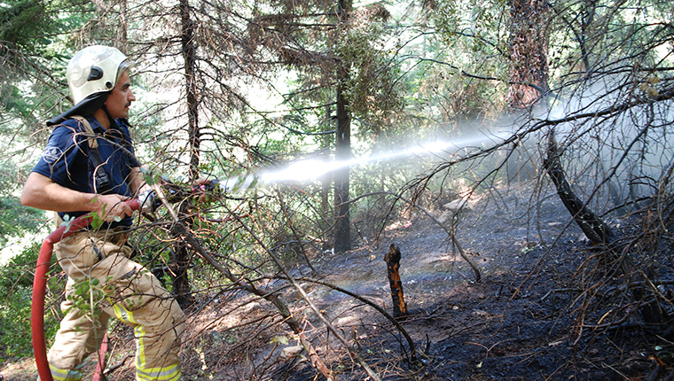 Kartal'da çıkan orman yangını söndürüldü
