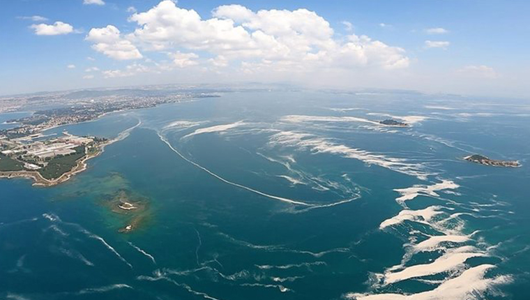 Marmara'yı müsilajdan kurtaracak 17 proje hazırlandı!