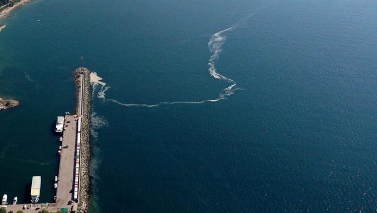 Marmara'da müsilaj azaldığı için temizlik yapılmadı