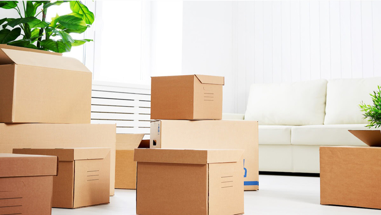 İstanbul halkı Ege bölgesine taşınıyor!