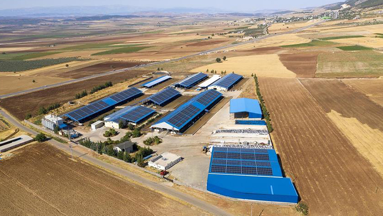 CW Enerji, Burpa Süt Ürünleri'nin fabrika çatısına GES kurdu