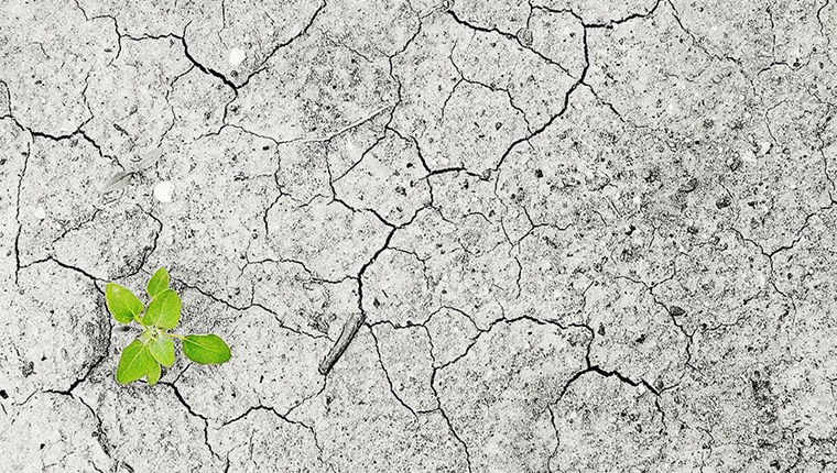 Türkiye, 10 Kasım'da Paris Anlaşması'nın tarafı olacak