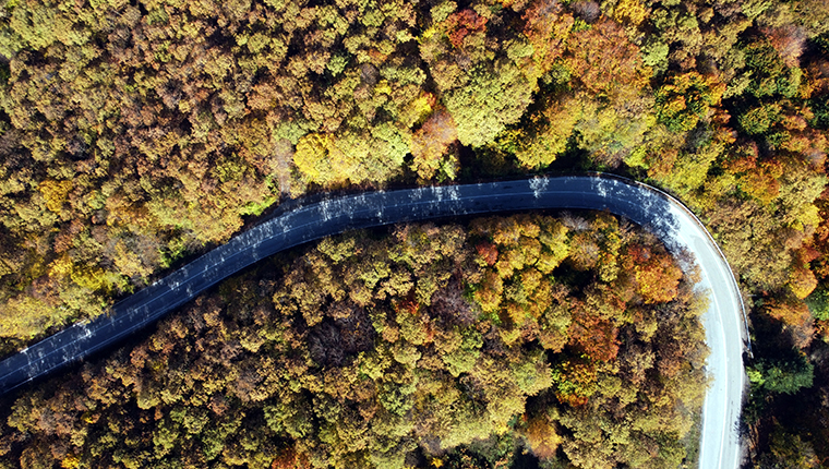 Gölcük Tabiat Parkı'nda sonbahar renkleri hakim
