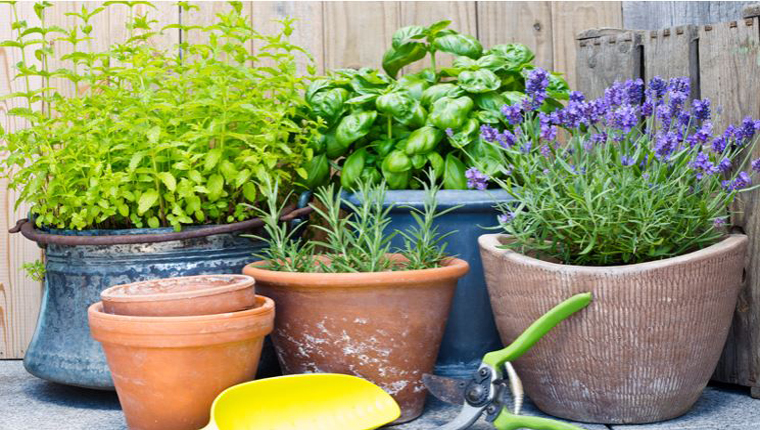 Koçtaş'tan evde tasarruf etmek isteyenlere özel ipuçları!