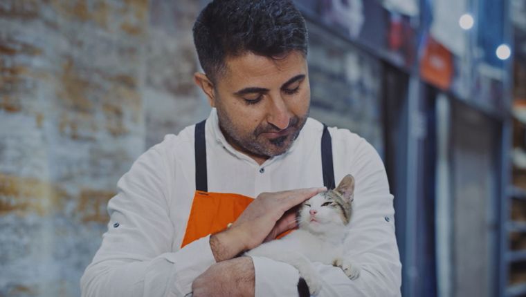 Koçtaş mağazaları kedilerin yuvaları oldu