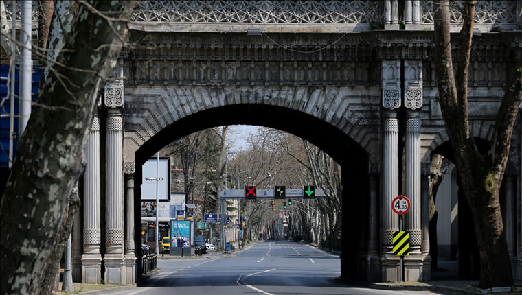Çırağan Caddesi'ndeki çınar ağaçlarının kesilmesine tepki!