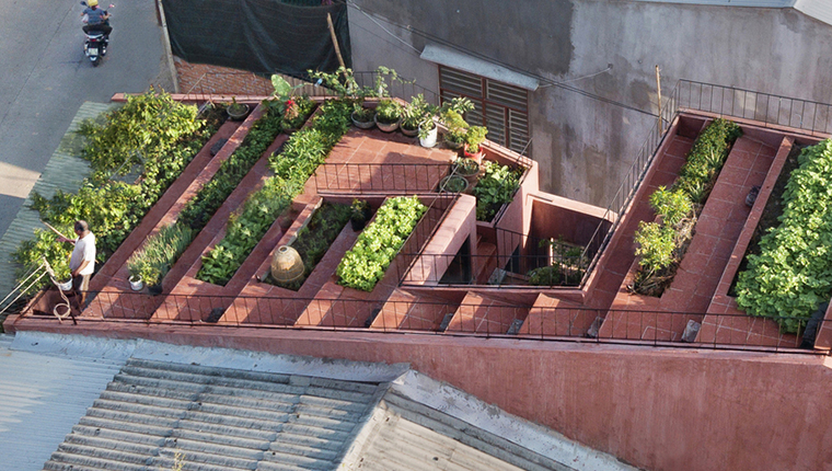 Yeşil alanlarınızı artırmanın en güzel yolları!