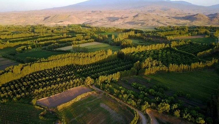 2B ve tarım arazilerinin satışında peşin ödemelerde yüzde 20 indirim