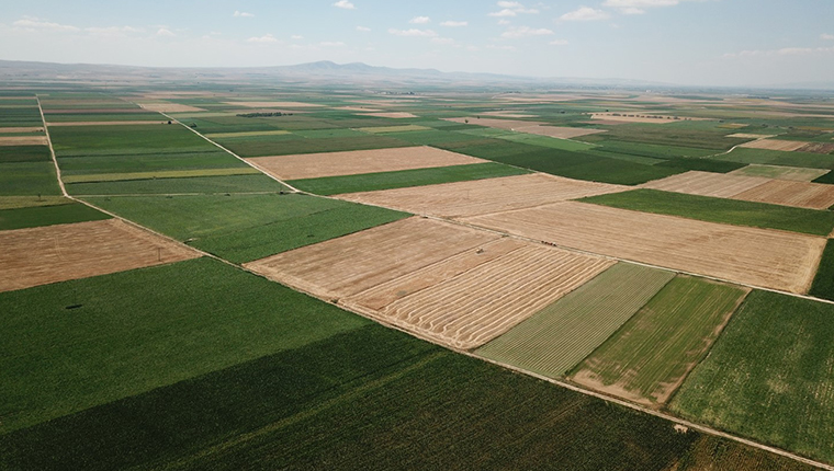 4 ilde 1 milyon 820 bin dekar arazi toplulaştırma yapıldı