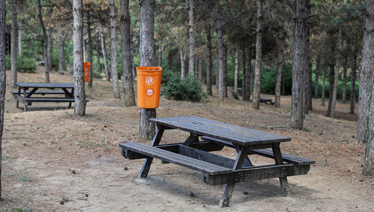 İstanbul'da 5-31 Temmuz'da ormanlık alanlara girişler yasaklandı