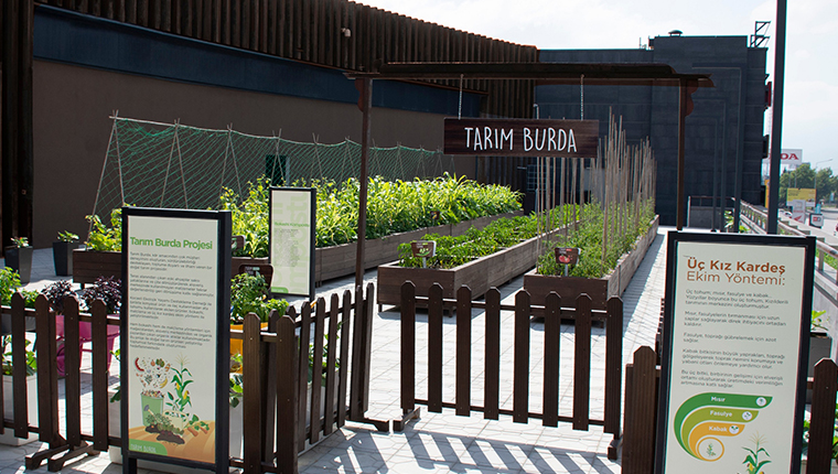 41 Burda AVM’den Kocaeli’nde bir ilk: “Tarım Burda” projesi