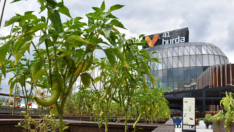 41 Burda AVM, atıkları gübre yapıp sebze yetiştiriyor!