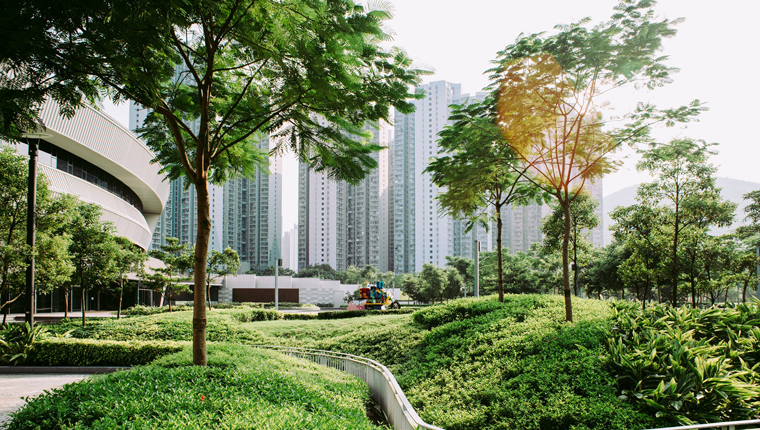 TK Elevators'a EcoVadis değerlendirmesinde altın statü!