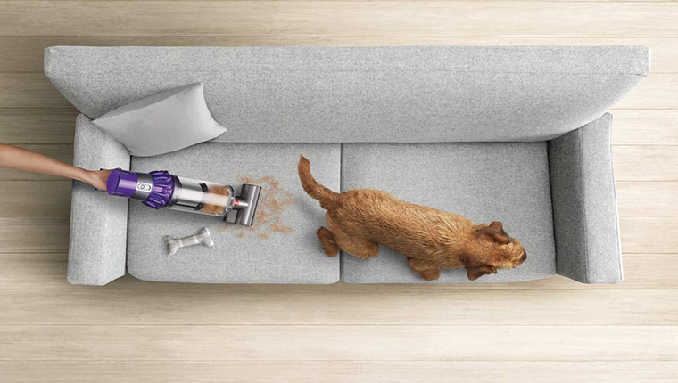 Dyson'dan evcil hayvan sahiplerinin hayatını kolaylaştıracak teknolojiler