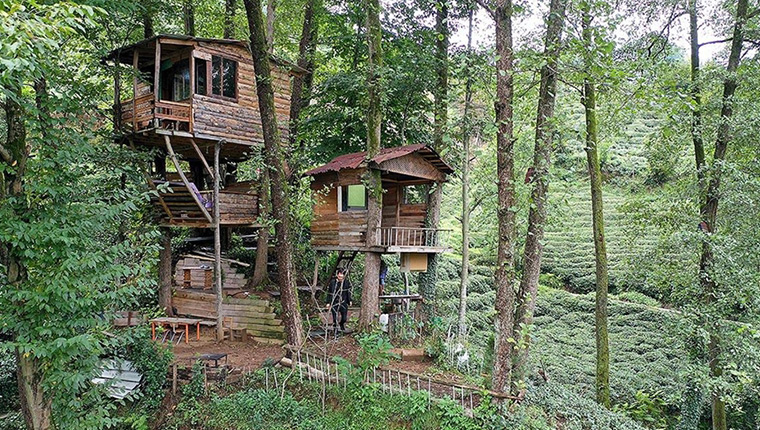 Ağaç gövdeleri arasına yaptığı iki ahşap evde yakınlarını ağırlıyor