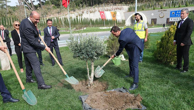 Kalyon Holding'ten Ayvacık-Küçükkuyu'ya 50 bin fidan!