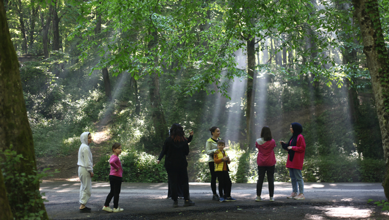 Eyüpsultan’da kişi başına 15 metrekare yeşil alan düşüyor