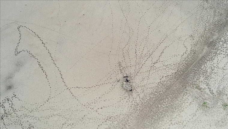 İstanbul'da barajların doluluk oranı yüzde 42,14 olarak ölçüldü!