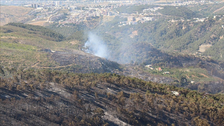 Hatay'ın Belen ilçesindeki orman yangını kontrol altına alındı!