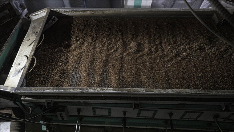 Tahıl anlaşmasına alternatif konusunda temaslar yürütülüyor!